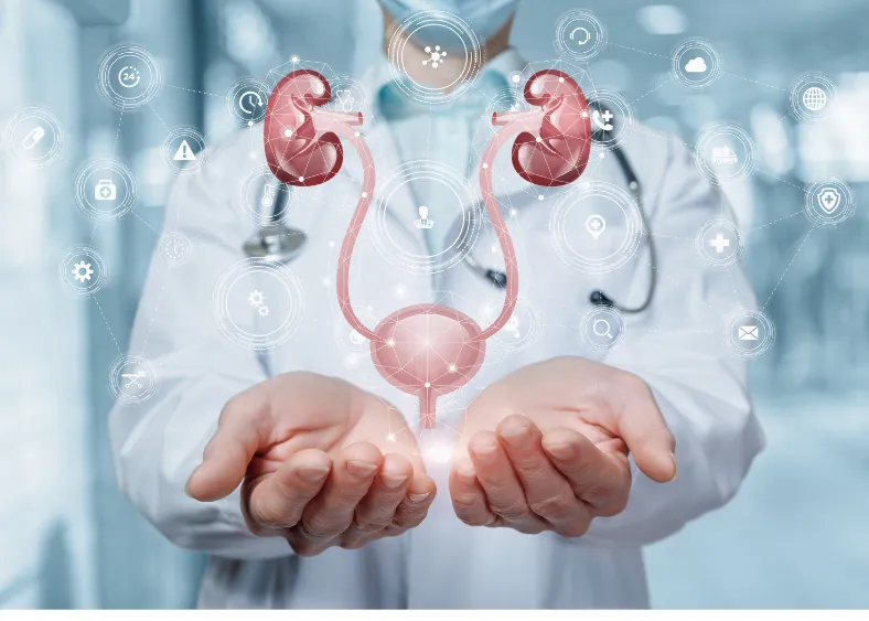 Urologia Geral