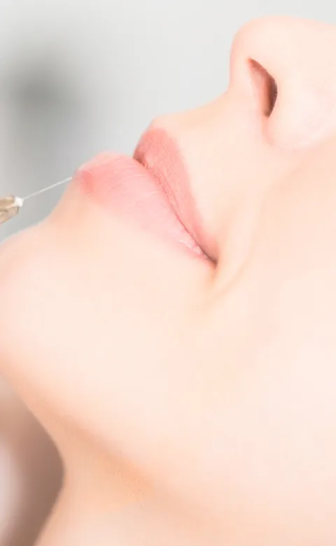 LipSculpt